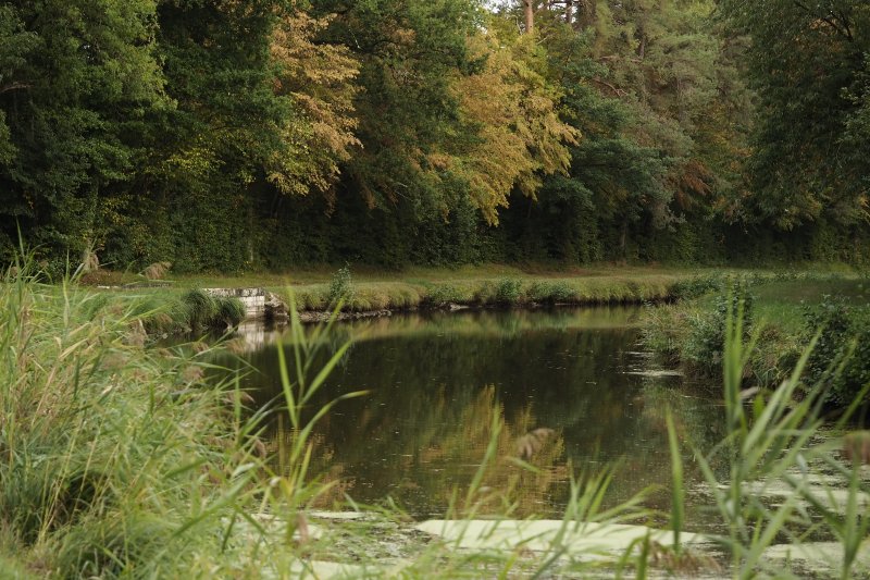 Le canal et ruisseau du fond de Nestin. Véronique côme